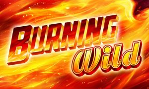 Burning WILD™ free slot machine