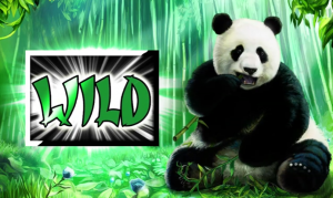 Giant Panda™ free slot machine