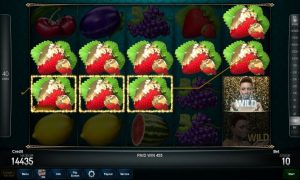 Golden Fortune™ free slot machine