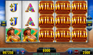 Girls & Bulls free slot machine