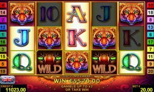Wild at heart™ free slot machine
