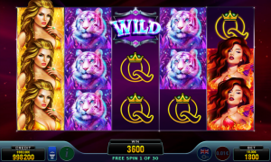 Amazon Beauties free slot machine