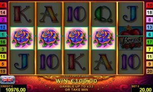 Wild at heart™ free slot machine