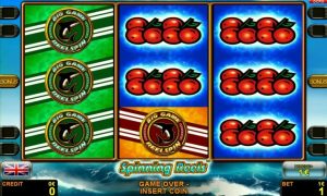 Spinning Reels™ free slot machine