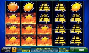 Plenty of Fruit™ 40 free slot machine
